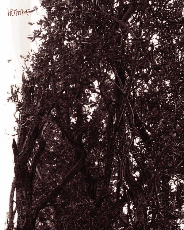 Homme-6-精壯美男魚